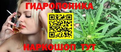 Альфа ПВП Малгобек