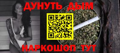Альфа ПВП Малгобек