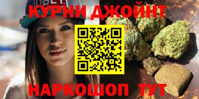 Альфа ПВП Малгобек
