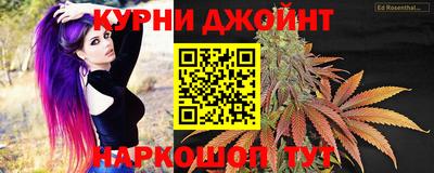 Альфа ПВП Малгобек