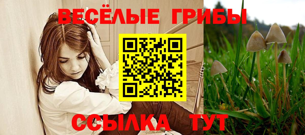 Псилоцибиновые грибы GOLDEN TEACHER  Вход с VPN  Галлюциногенные грибы Cubensis  Тверь 